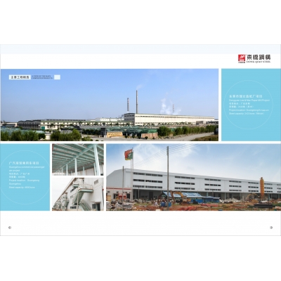 東莞市理文造紙廠項(xiàng)目